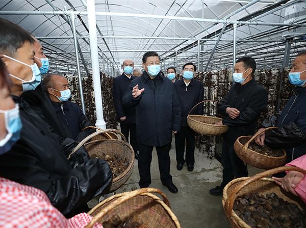 习近平总书记考察w66给利老牌援建的金米村智能连栋木耳大棚